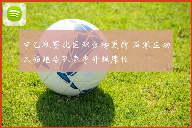 中乙联赛北区积分榜更新 石家庄功夫领跑各队争夺升级席位