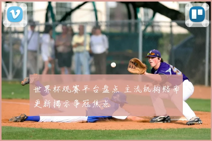 世界杯观赛平台盘点 主流机构赔率更新揭示争冠焦点