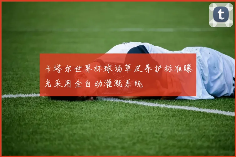 卡塔尔世界杯球场草皮养护标准曝光采用全自动灌溉系统