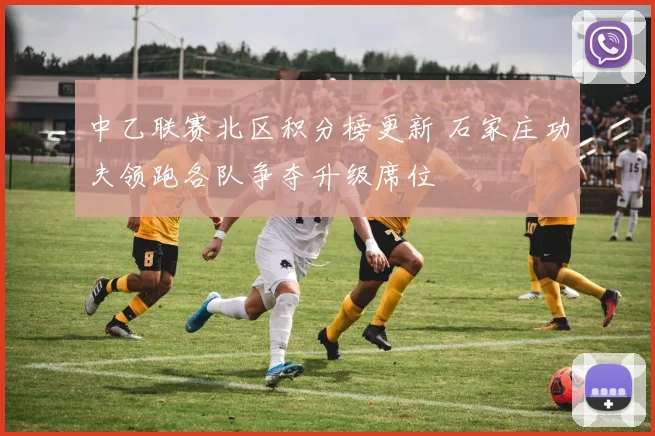 中乙联赛北区积分榜更新 石家庄功夫领跑各队争夺升级席位