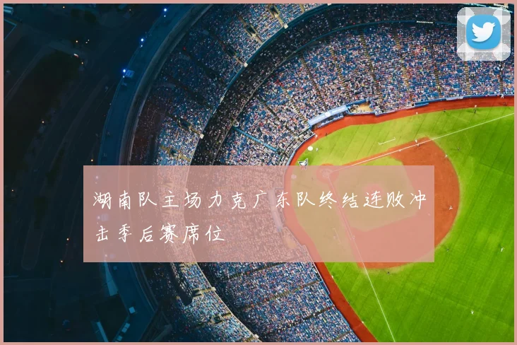 湖南队主场力克广东队终结连败冲击季后赛席位