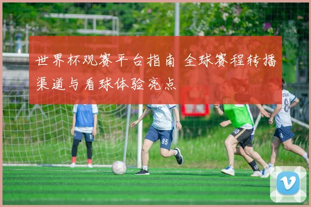 世界杯观赛平台指南 全球赛程转播渠道与看球体验亮点