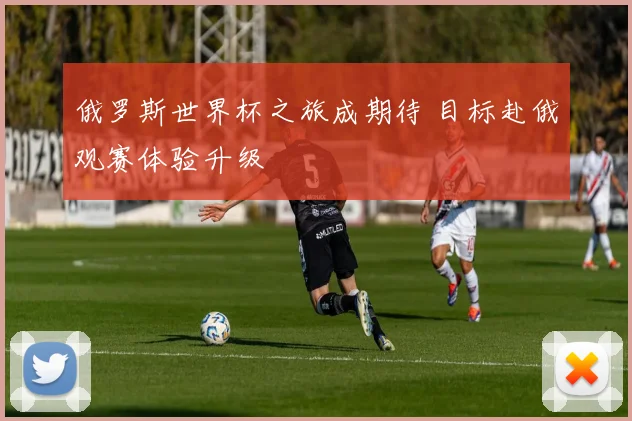 俄罗斯世界杯之旅成期待 目标赴俄观赛体验升级