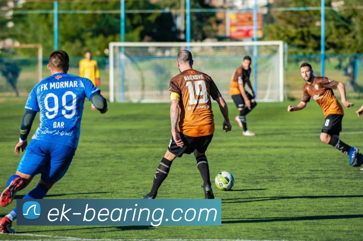 开云app在线入口网页版平台生态图